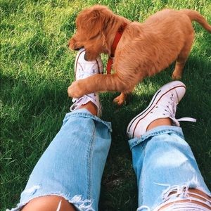 Meet your Posher, Bailey